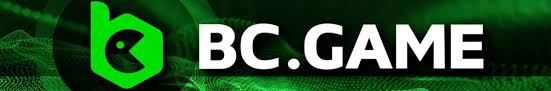 Understanding the Dynamics of BC CO Crash A Comprehensive Overview
